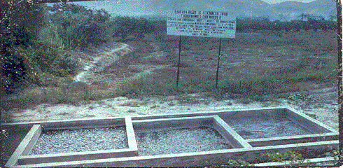 image36c.gif (56949 bytes)