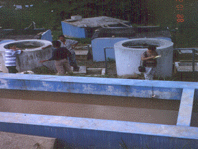 image40.gif (48623 bytes)